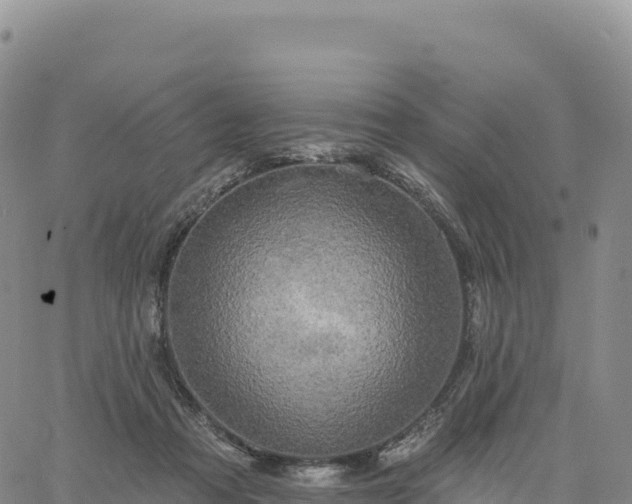 X0000061750313200512091642