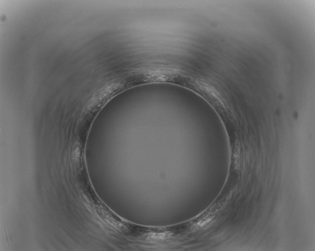 X0000061750314200512091642