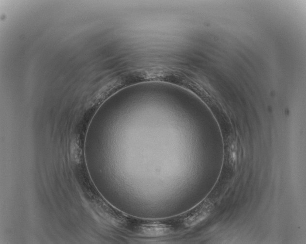 X0000061750316200512091642