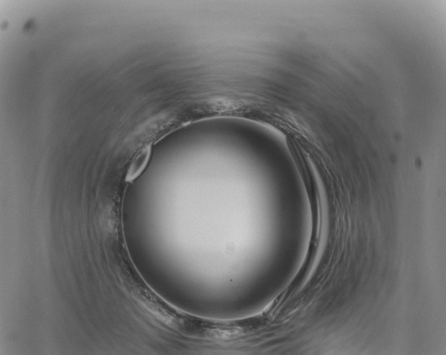 X0000061750317200512091642