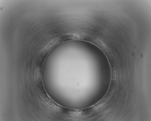 X0000061750318200512091642