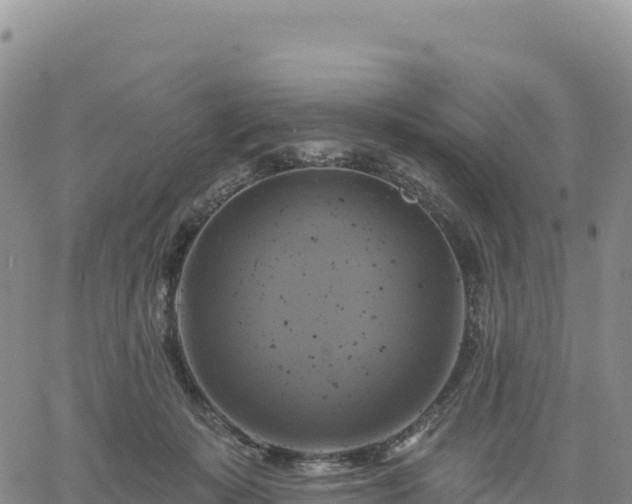 X0000061750319200512091642