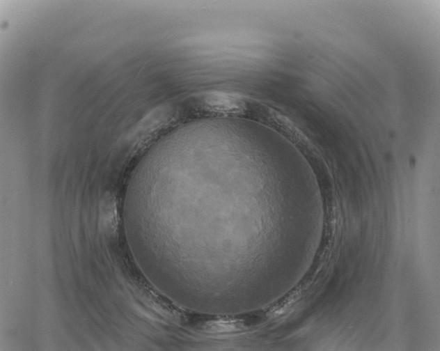 X0000061750320200512091642