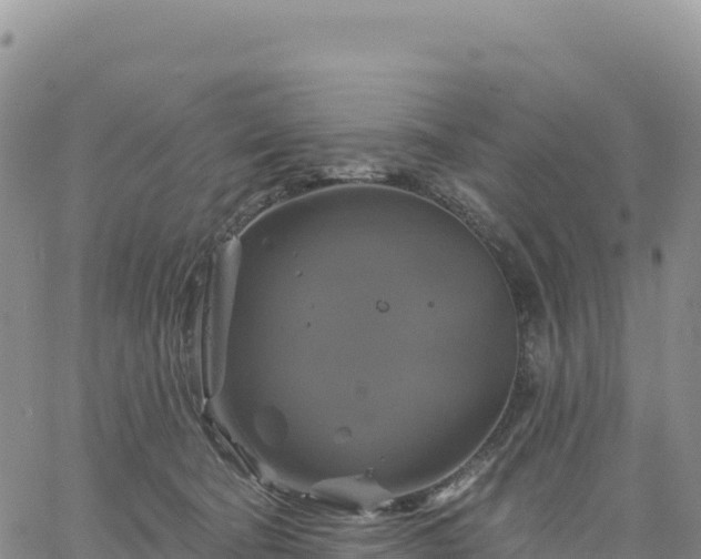 X0000061750322200512091642