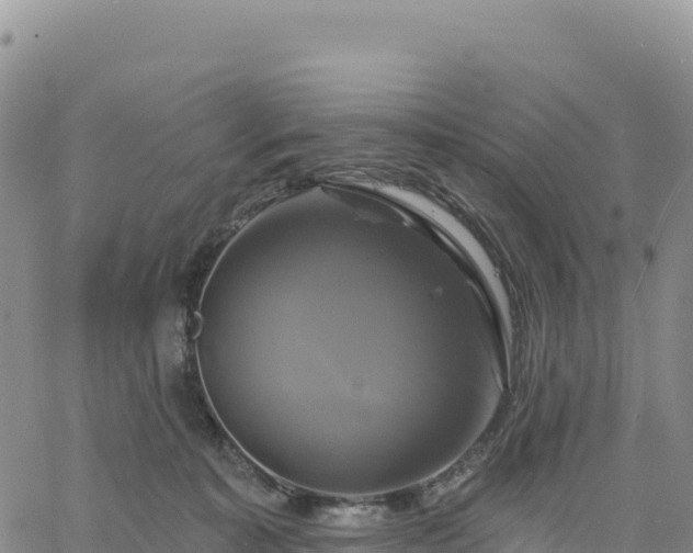 X0000061750323200512091642