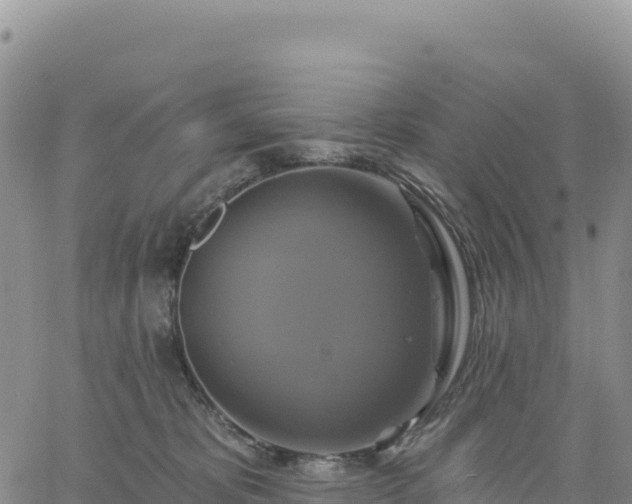 X0000061750325200512091642