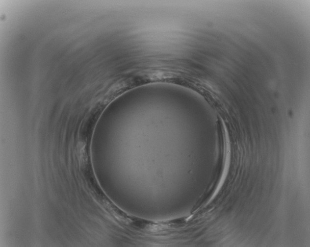 X0000061750327200512091642