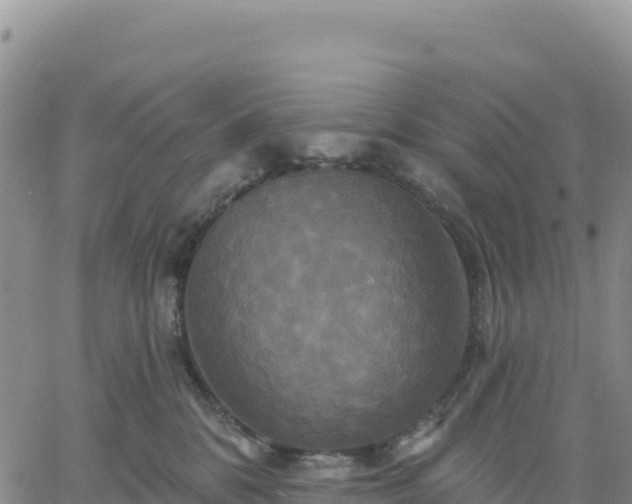 X0000061750328200512091642