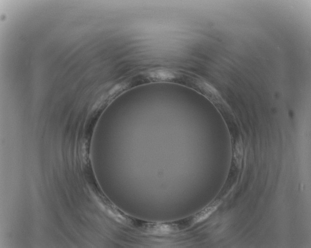 X0000061750330200512091642