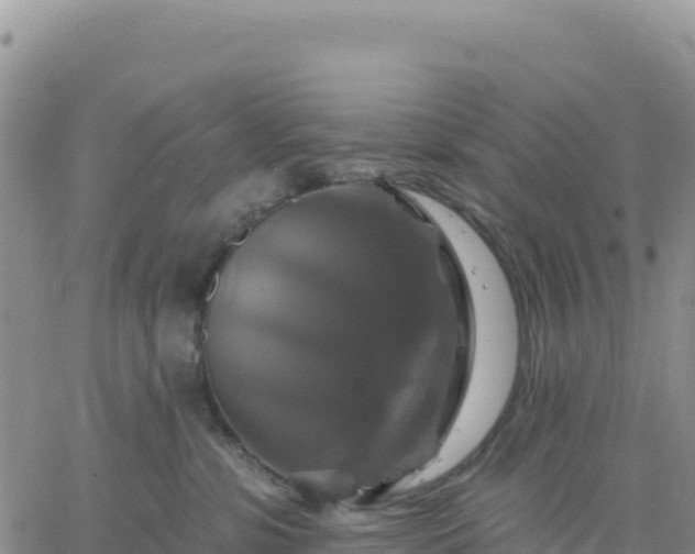 X0000061750331200512091642