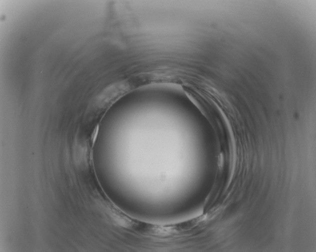 X0000061750333200512091642