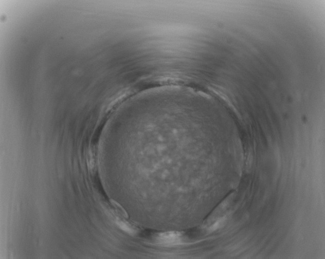 X0000061750335200512091642