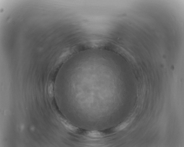 X0000061750336200512091642