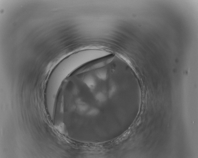 X0000061750337200512091641