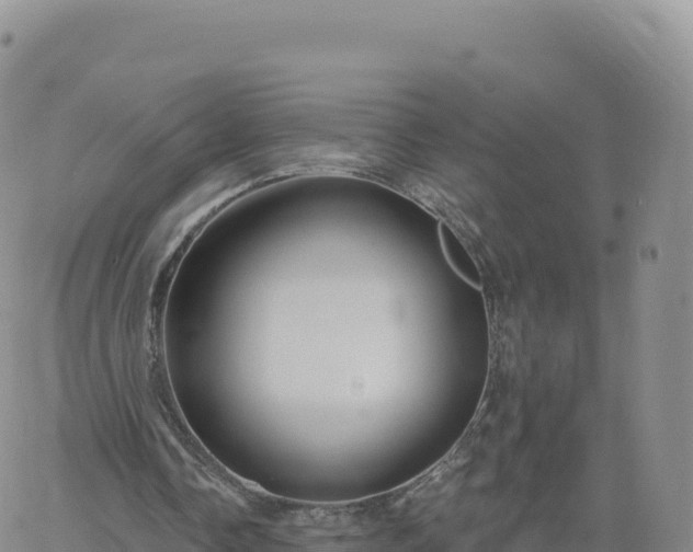 X0000061750338200512091641