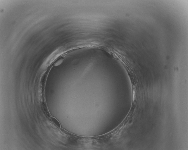 X0000061750339200512091641