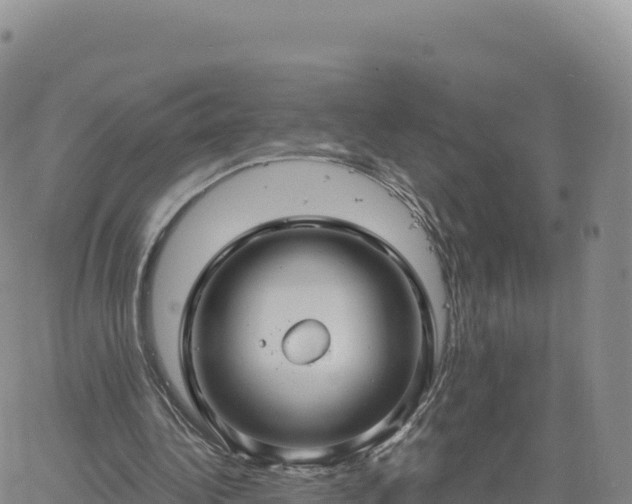 X0000061750340200512091641