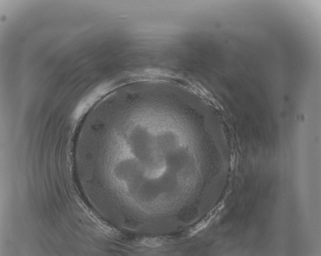 X0000061750341200512091641