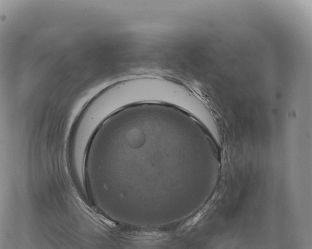 X0000061750342200512091641