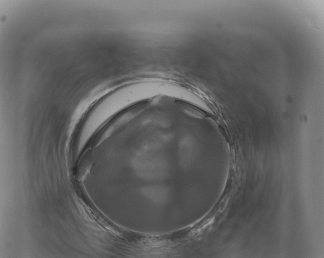 X0000061750343200512091641