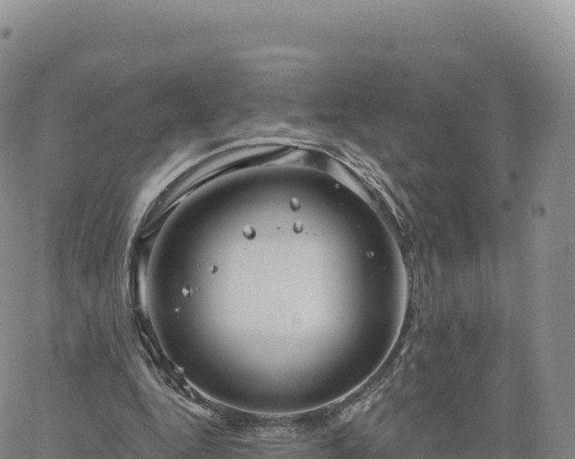 X0000061750344200512091641