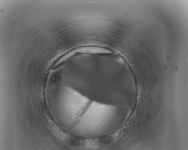 X0000061750345200512091641