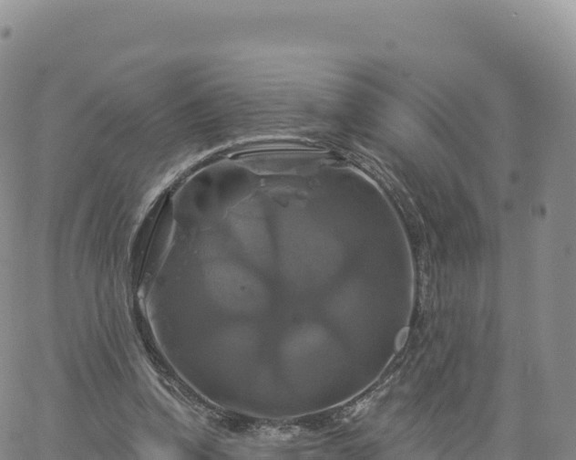 X0000061750346200512091641