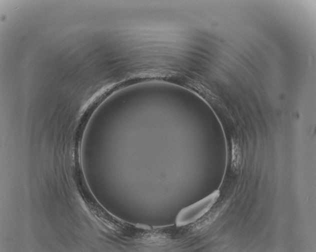 X0000061750348200512091641