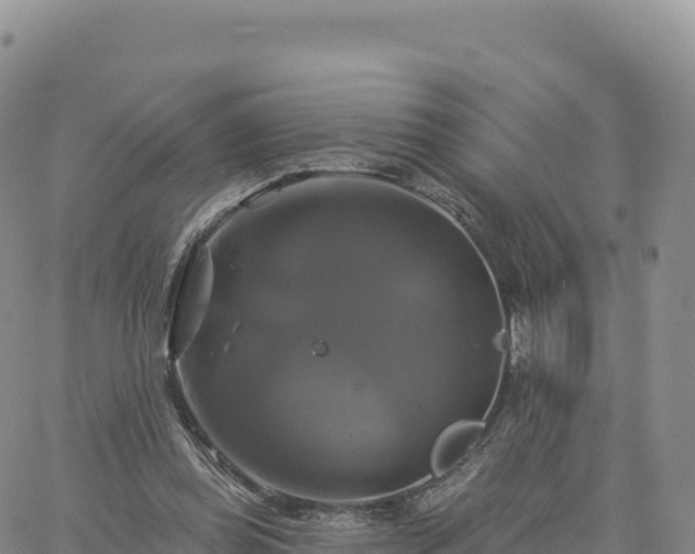 X0000061750349200512091641