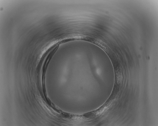 X0000061750350200512091641