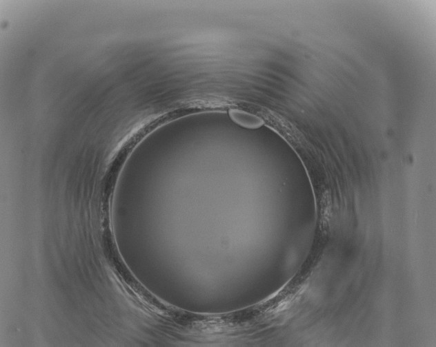 X0000061750351200512091641