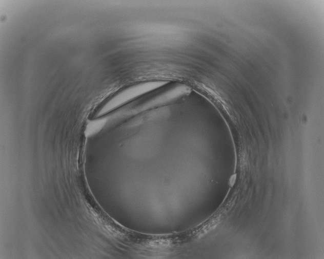 X0000061750353200512091641