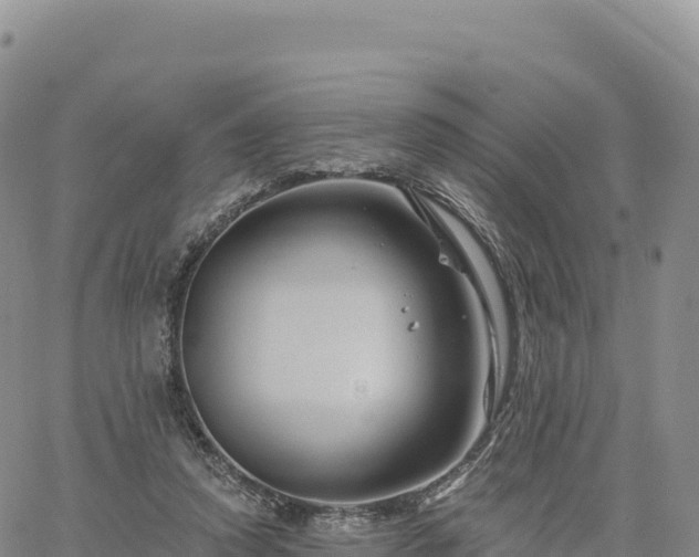 X0000061750354200512091641