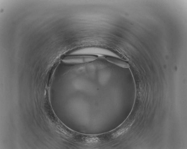 X0000061750355200512091641