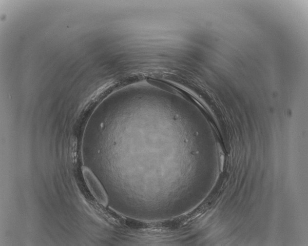 X0000061750356200512091641