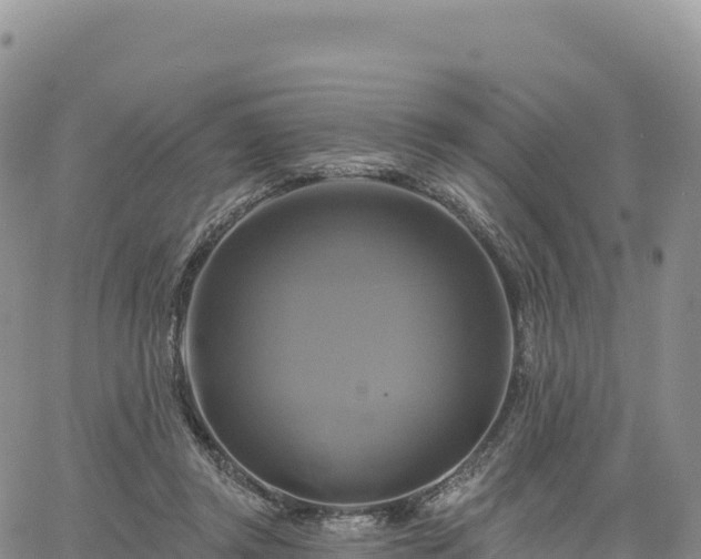 X0000061750357200512091641