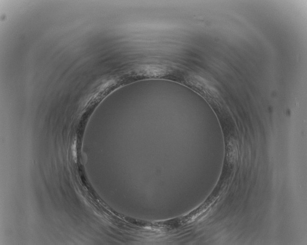 X0000061750358200512091641