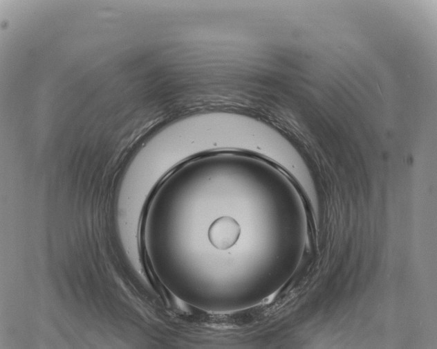 X0000061750360200512091641