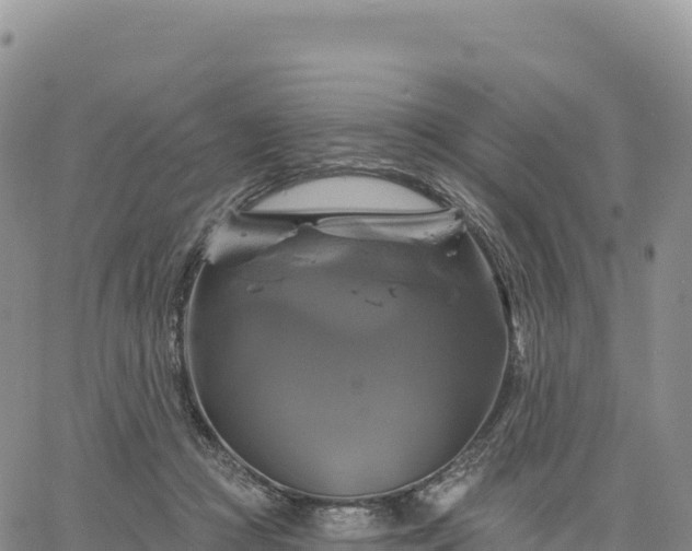 X0000061750361200512091641