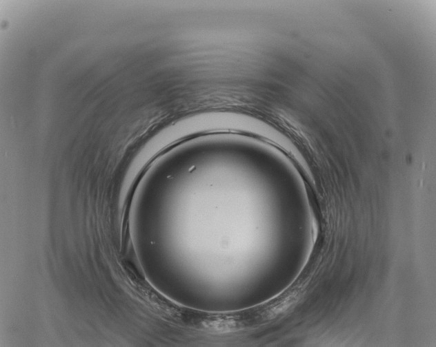 X0000061750362200512091642