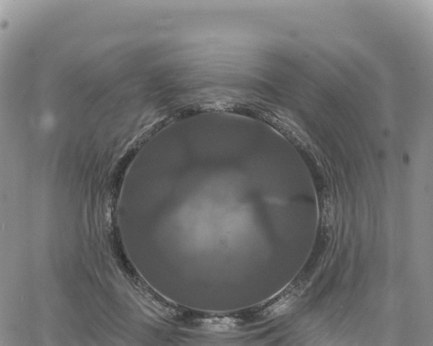 X0000061750363200512091642