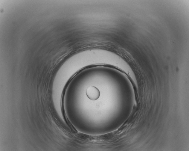 X0000061750364200512091642