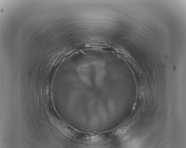 X0000061750365200512091642