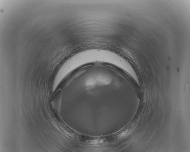 X0000061750366200512091642