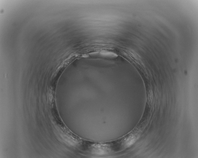 X0000061750367200512091642