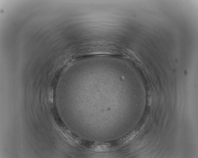 X0000061750368200512091642