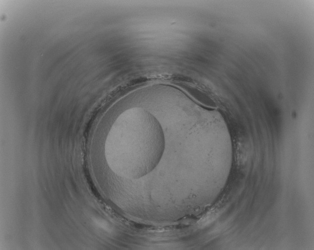 X0000061750370200512091642