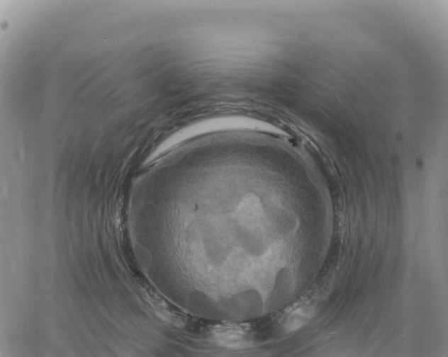 X0000061750373200512091642