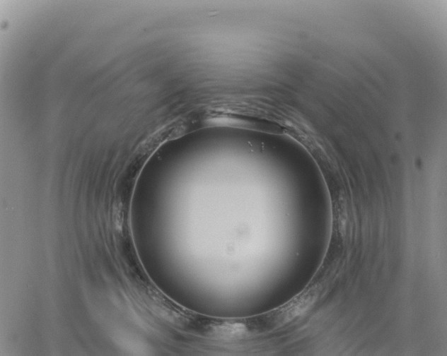 X0000061750374200512091642