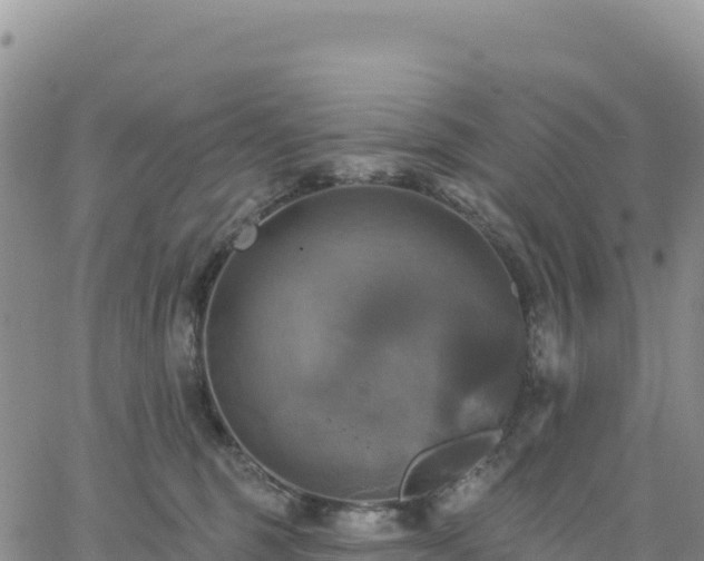 X0000061750375200512091642